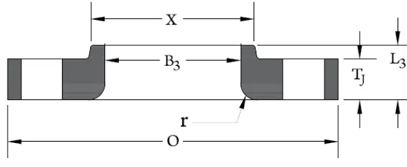 DN65 Flange